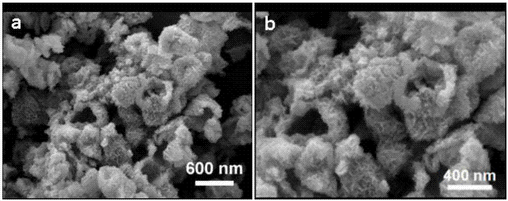 Preparation method and application of layered nickel-cobalt hydroxide