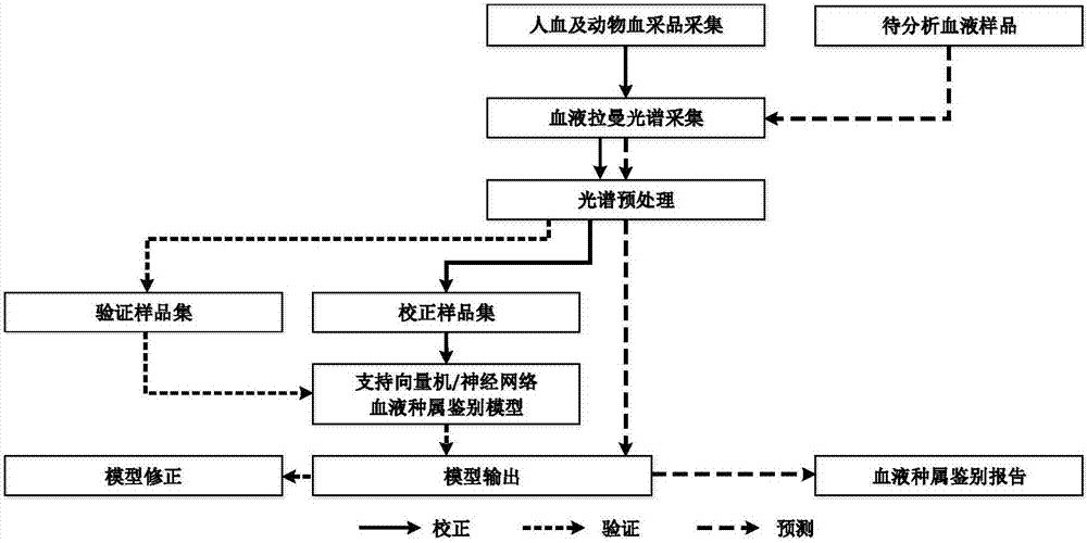 Identifying system for blood species based on coherent anti-stoke Raman spectrum