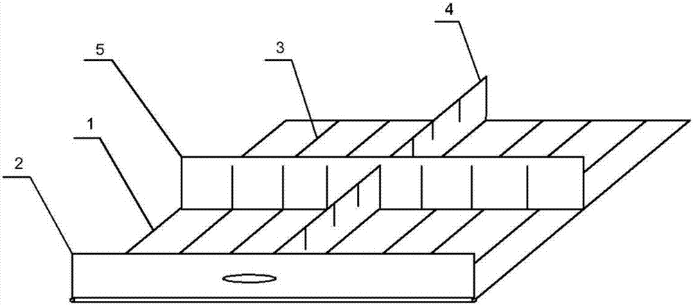 Young tortoise culturing method