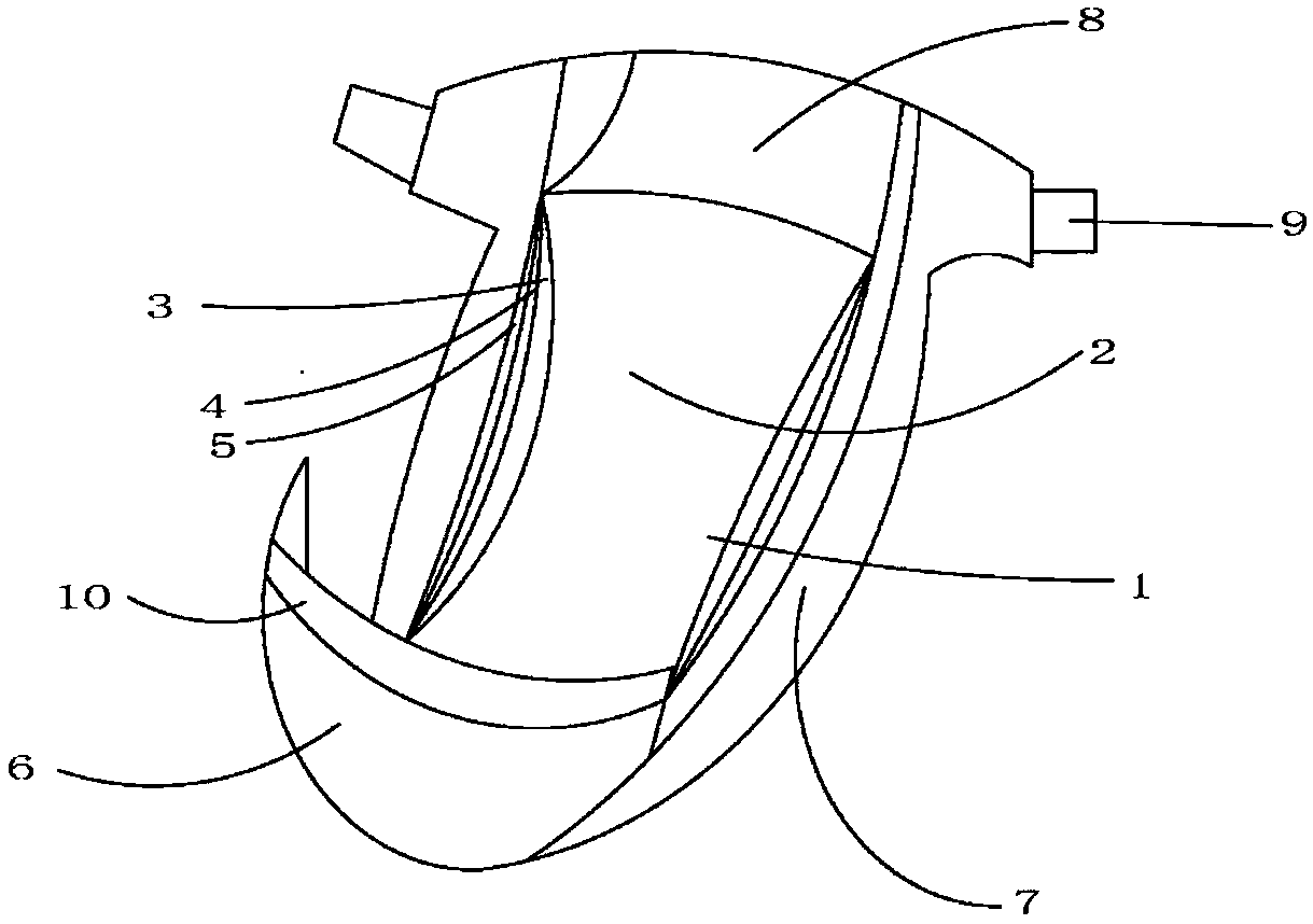 Paper diaper containing radix sophorae flavescentis