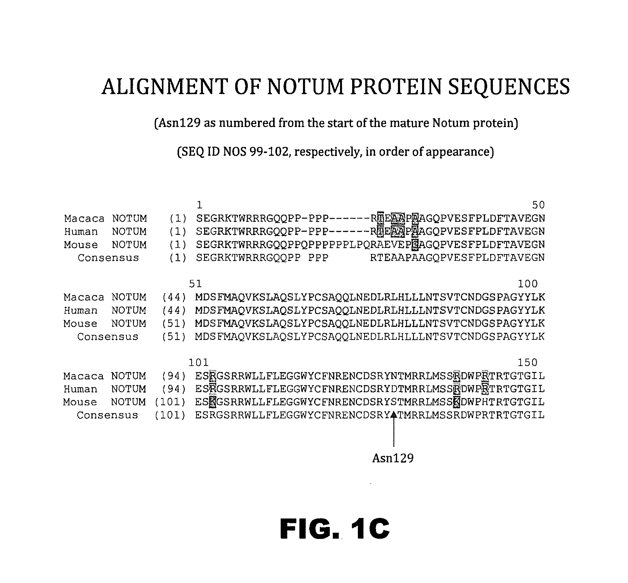 Notum protein modulators and methods of use