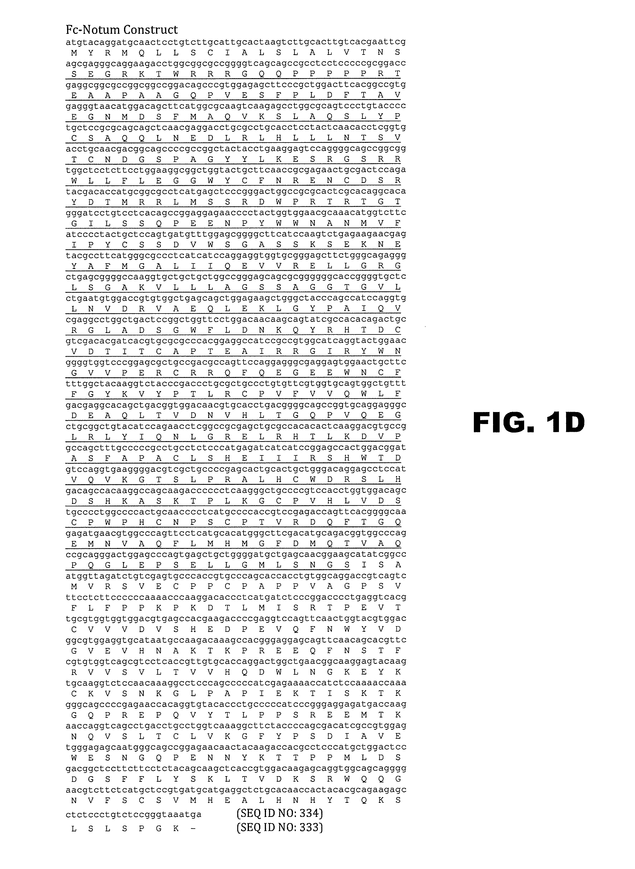 Notum protein modulators and methods of use