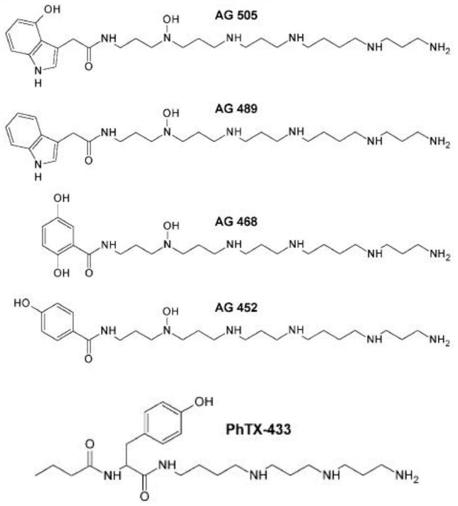 A kind of small molecular toxin isolated and purified from the crude venom of Edenia grandis and its application