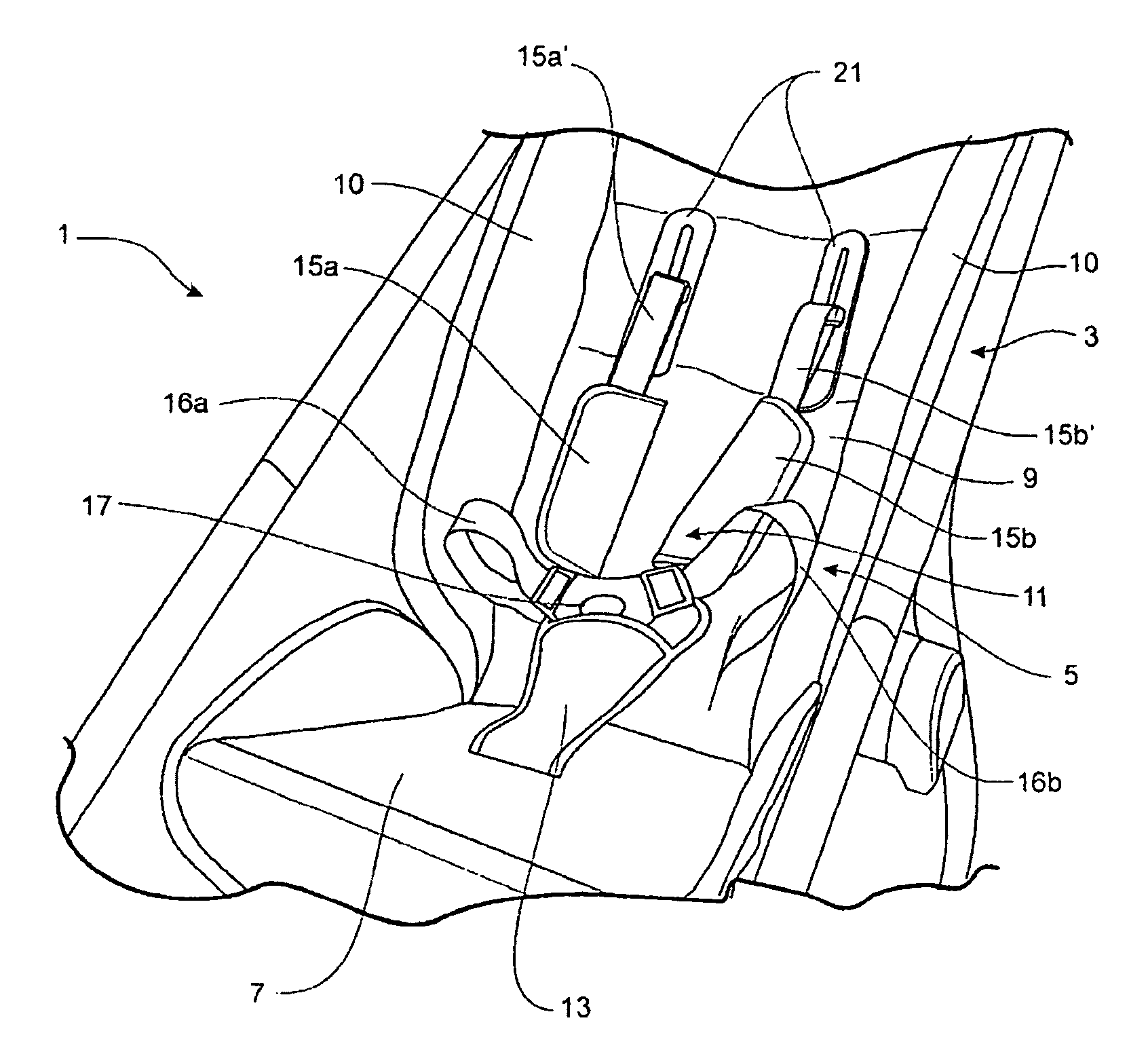 Strap support apparatus