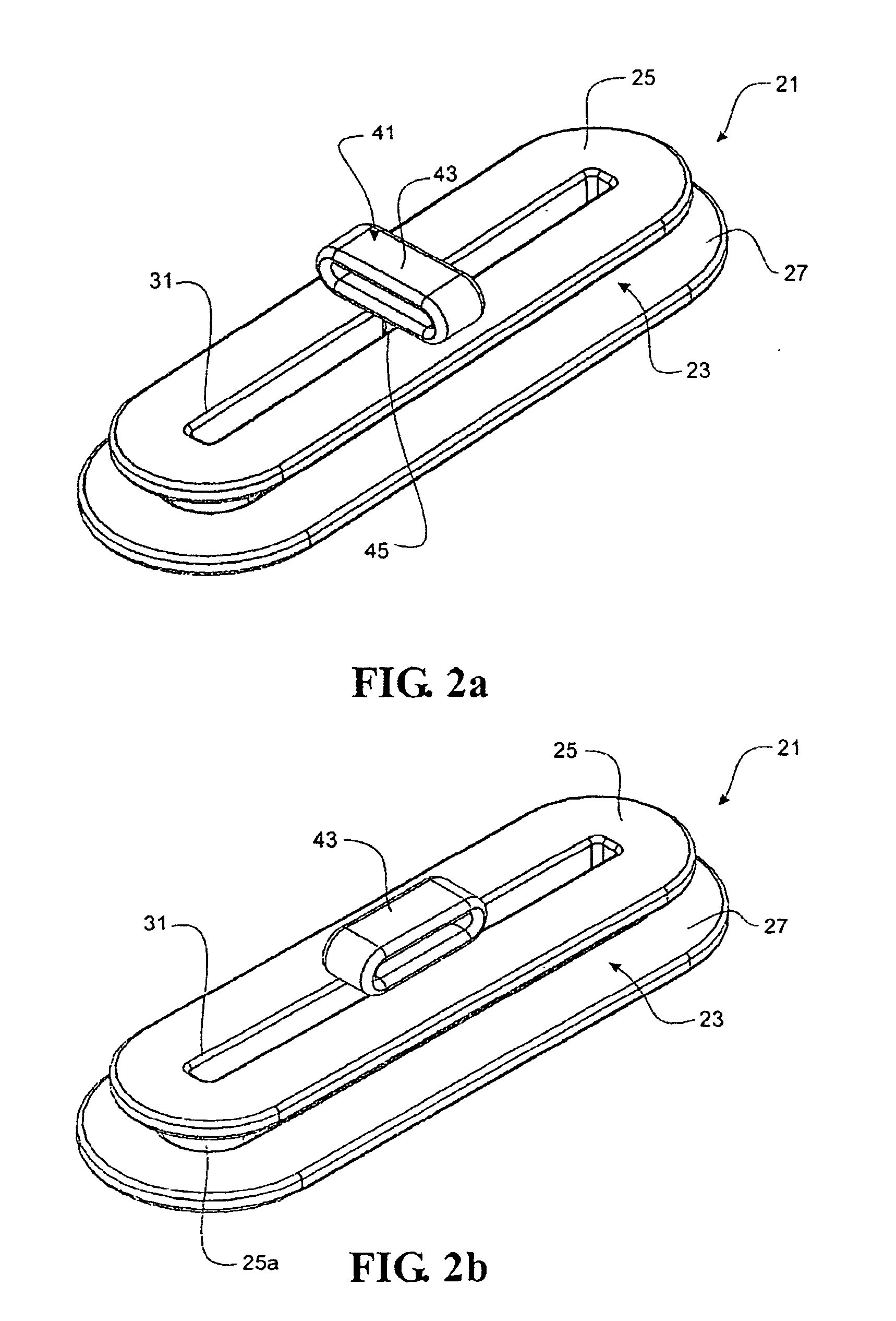 Strap support apparatus