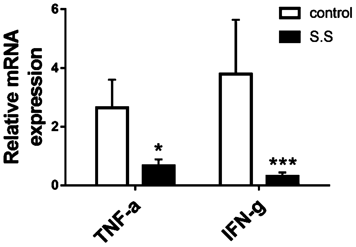 Streptococcus salivarius and application thereof to preparation of medicines for treatment of inflammatory bowel diseases