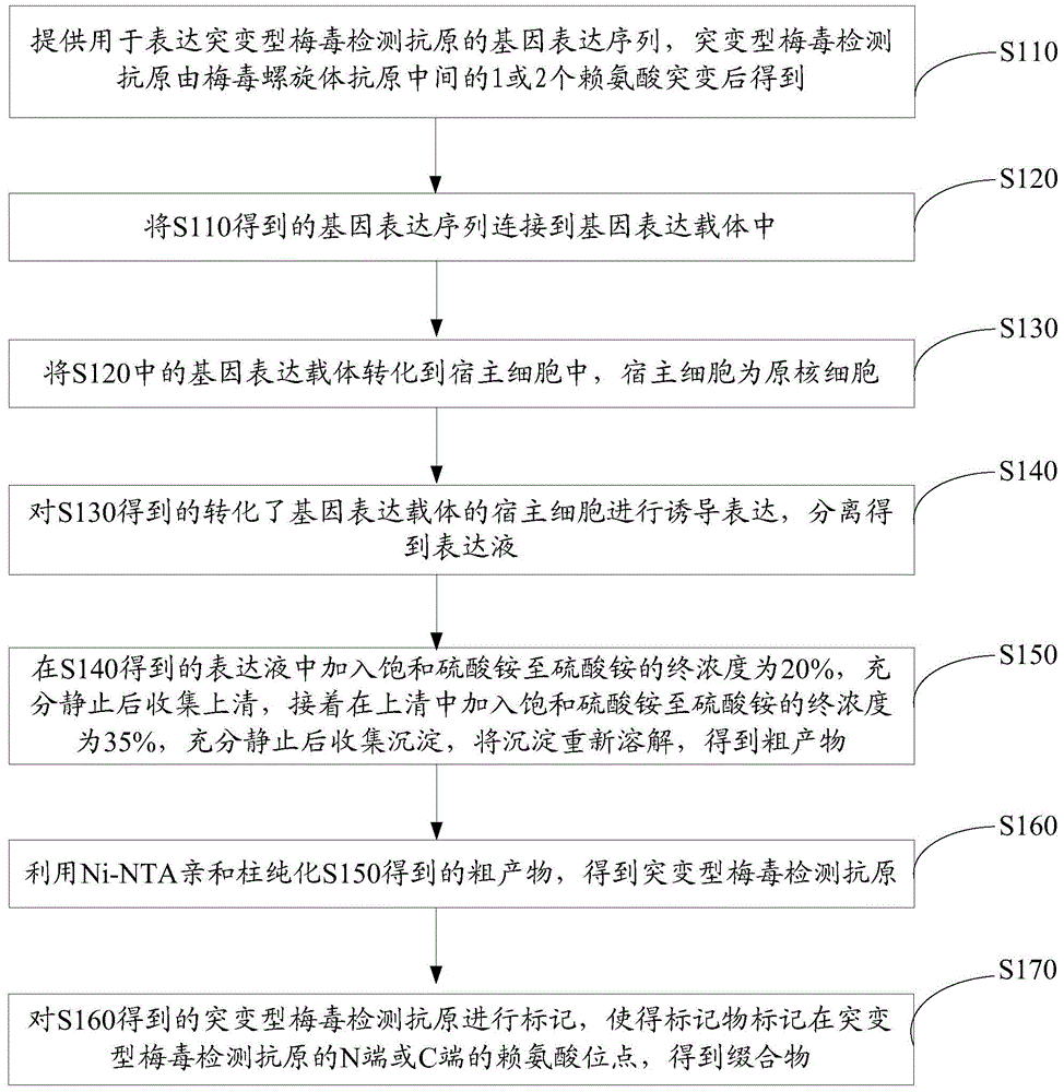 Conjugate and preparation method thereof, syphilis detection reagent and syphilis detection kit