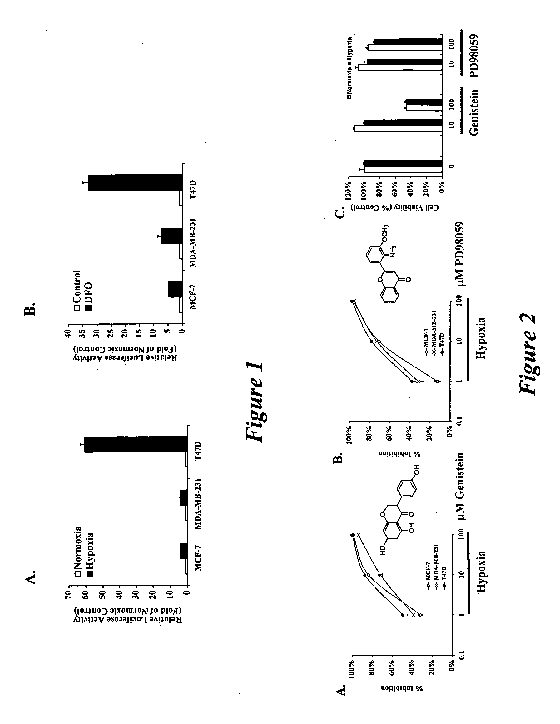 Saururus cernuus compounds that inhibit cellular responses to hypoxia