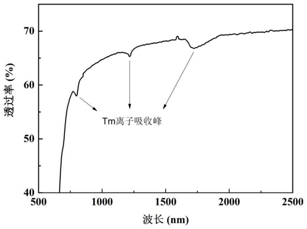 Rare earth ion doped chalcogenide gain glass and low-temperature synthesis preparation method thereof