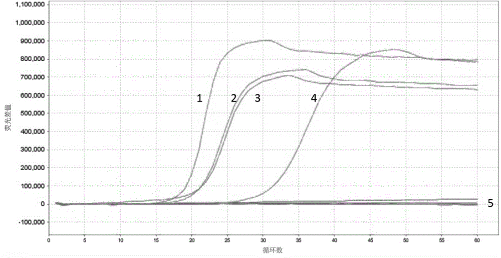 Nucleic acid sequence for typing detection of cutaneous human papillomavirus and application thereof