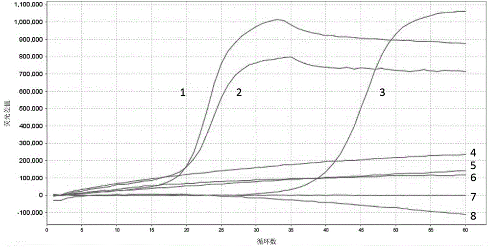 Nucleic acid sequence for typing detection of cutaneous human papillomavirus and application thereof