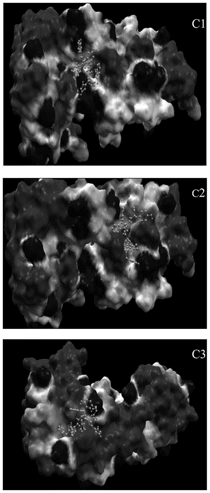 CD44 targeting polypeptide and its application in the preparation of affinity probes for screening early gastric cancer