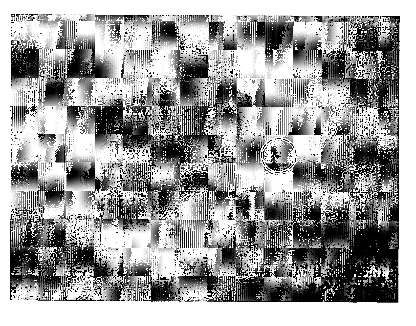 Systems and methods for inspecting coatings, surfaces and interfaces