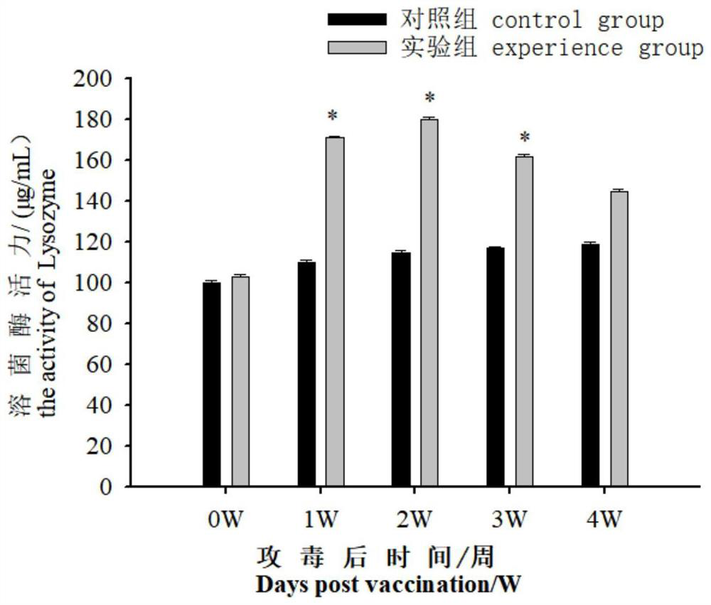 Aeromonas salmonicida and edwardsiella tarda bivalent vaccine and application thereof