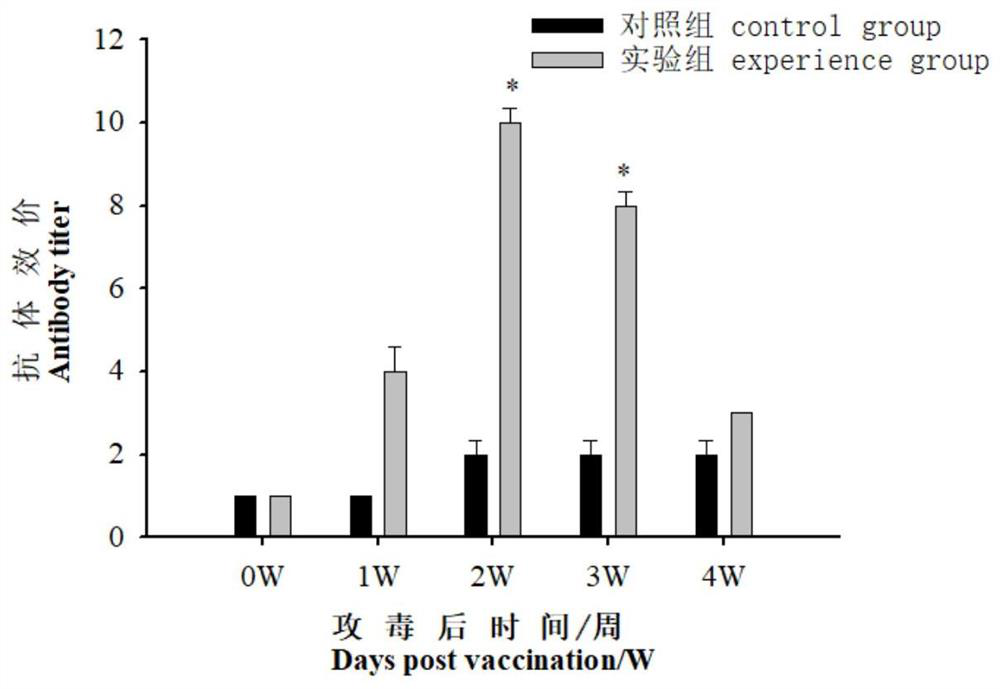 Aeromonas salmonicida and edwardsiella tarda bivalent vaccine and application thereof