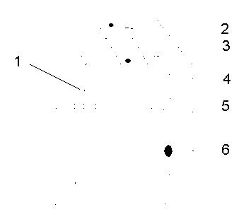 Automatic prompting device for separate waste collection and application method thereof