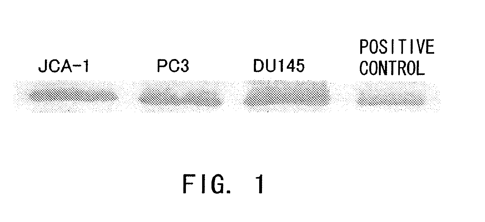 Therapeutic agent for prostate cancer