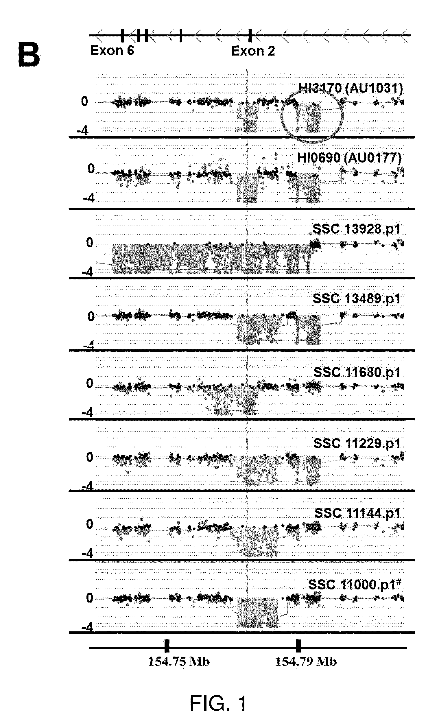 Analysis of tmlhe and carnitine biosynthesis for autism diagnosis