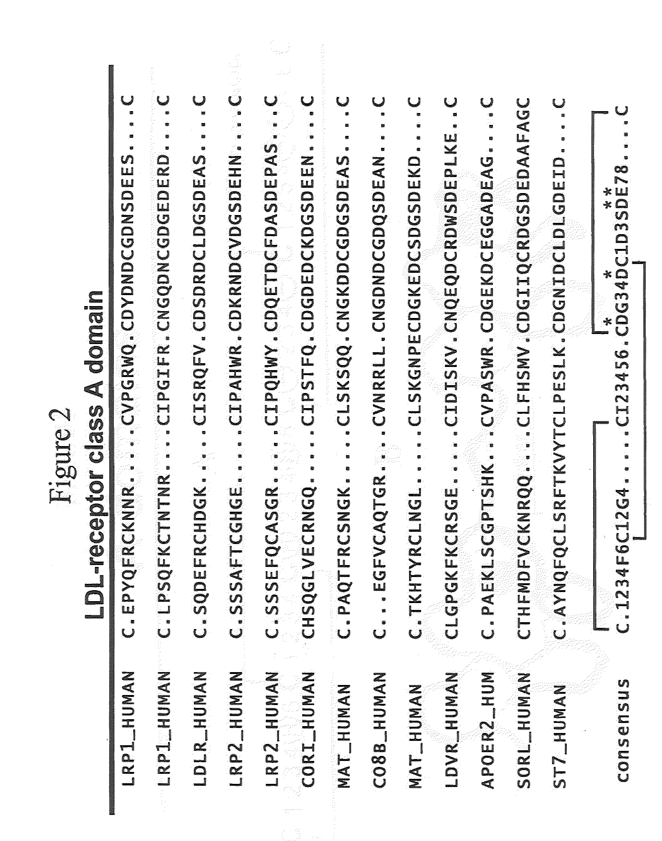 Novel proteins with targeted binding