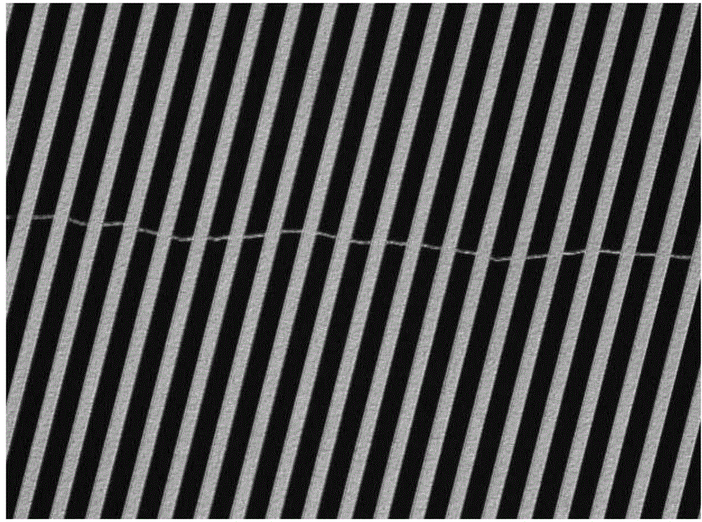 Flexible display device and folding-resistant metal wire