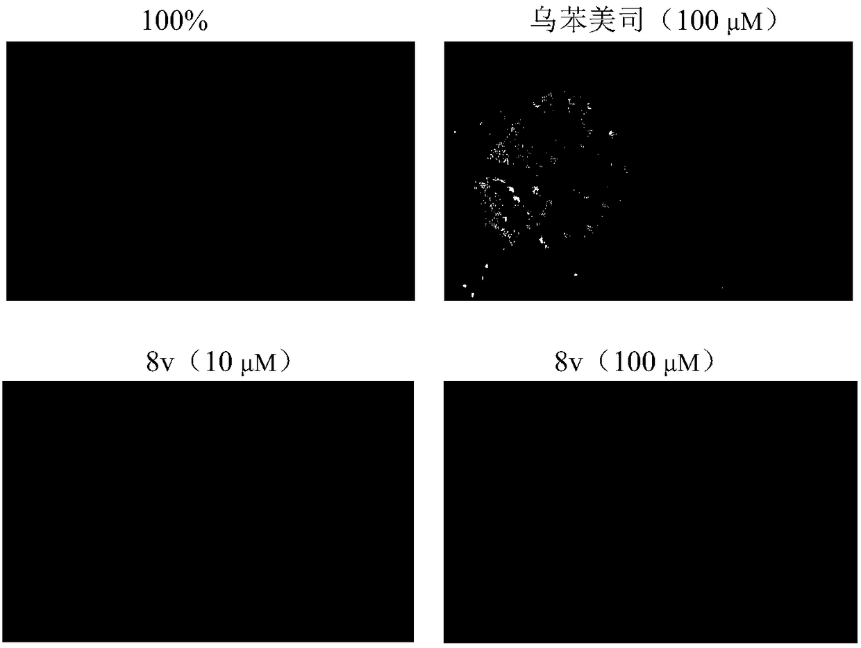 1,2,3-triazole aminopeptidase N inhibitor as well as preparation method and application thereof