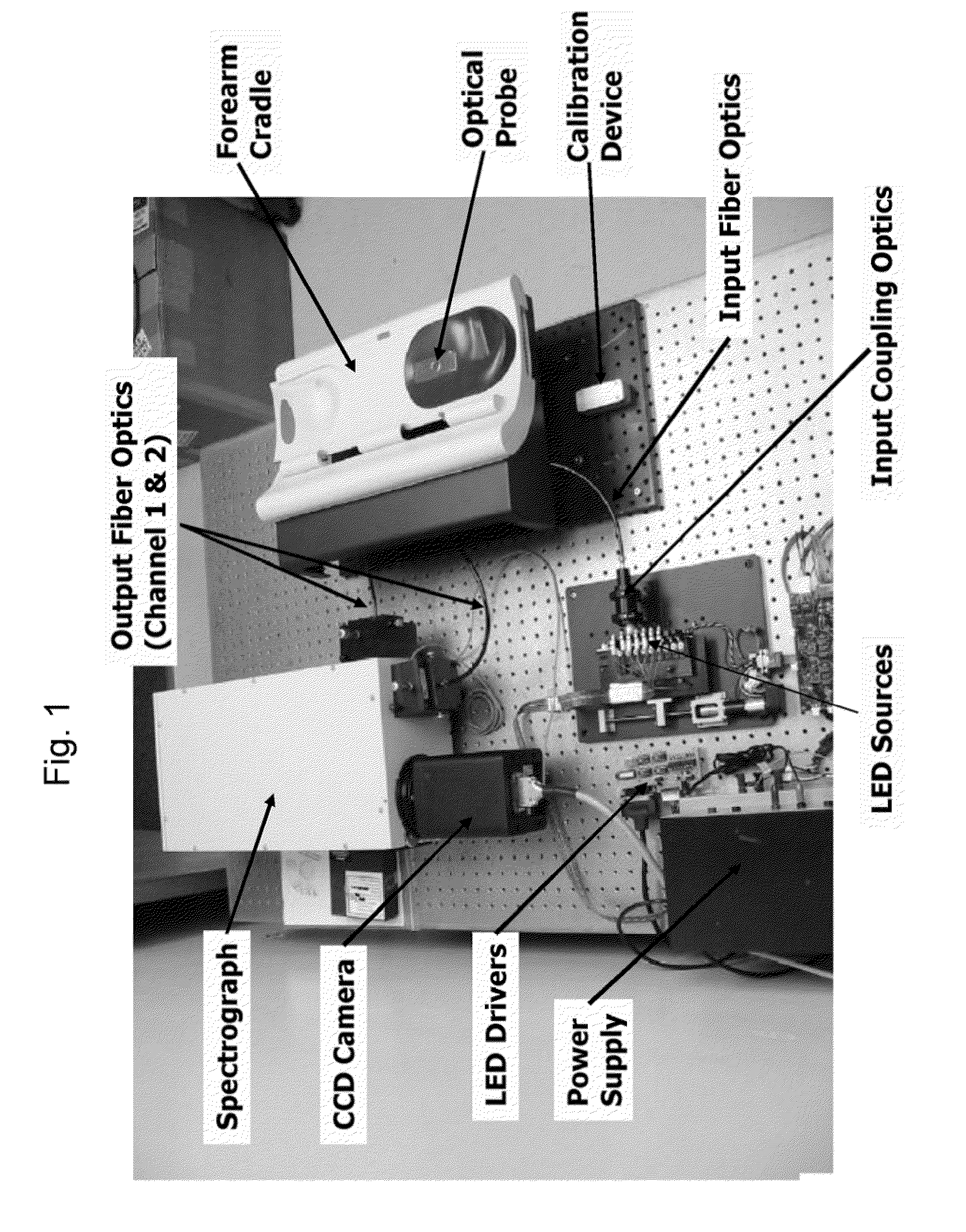 Method and Apparatus for Determination of a Measure of a Glycation End-Product or Disease State Using Tissue Fluorescence