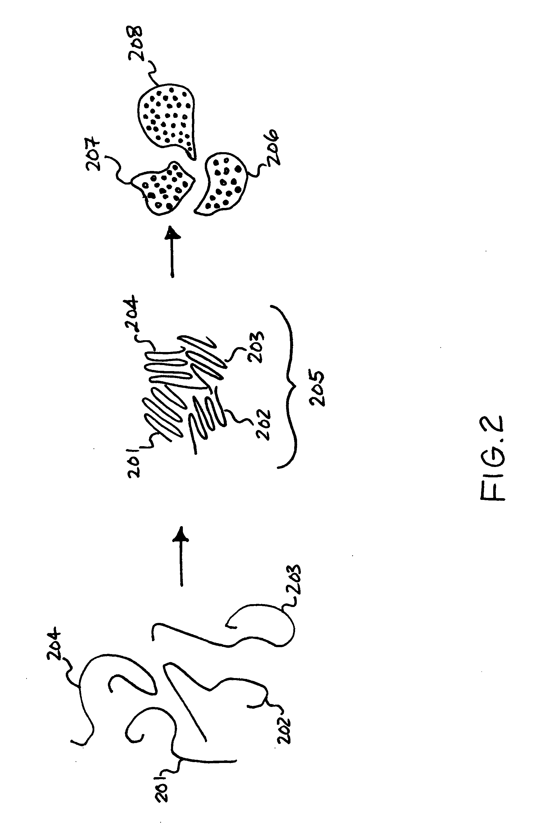 Non-invasive methods and related compositions for identifying compounds that modify in vivo aggregations of disease-related polypeptides