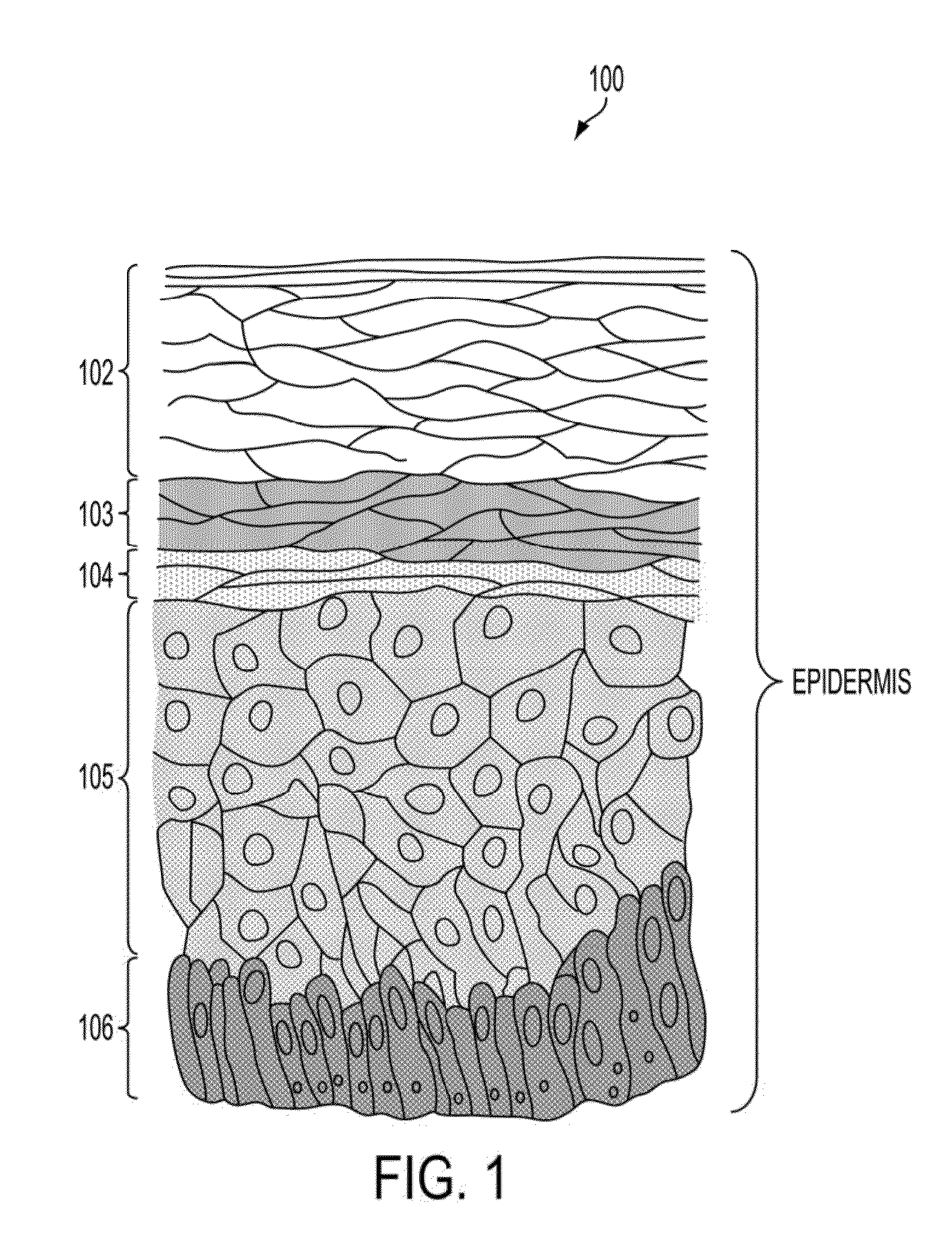 Transdermal Sampling and Analysis Device