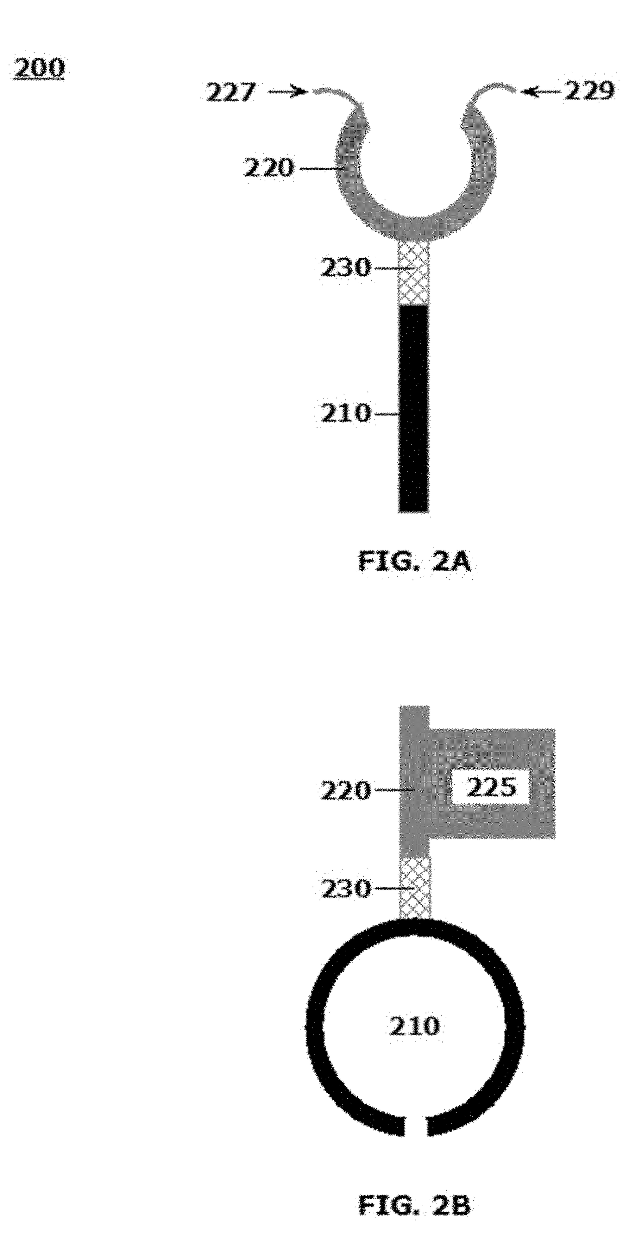 System, method and apparatus to facilitate drawing blood and extracting other bodily fluids