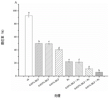 Method of bamboo leaf flavonoid combined with pichia caribbica to prevent and treat apple postharvest diseases