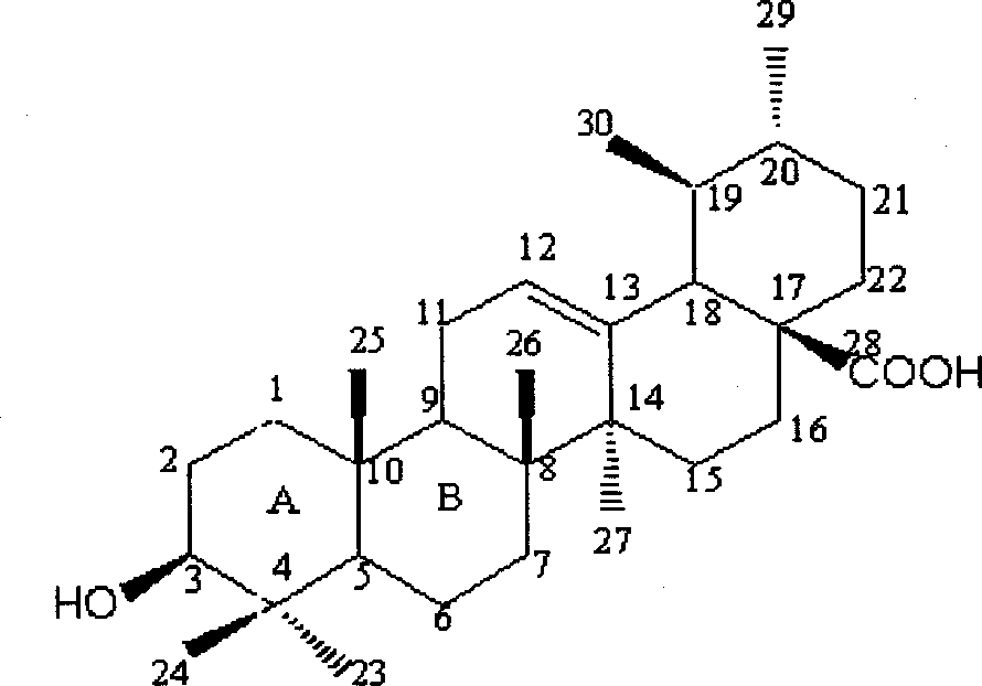 Method for separating and preparing corosolicacid in loquat leaf