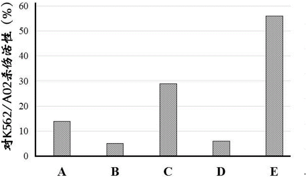 miRNA-155 and application of its inhibitor in DC-CIK cell culture