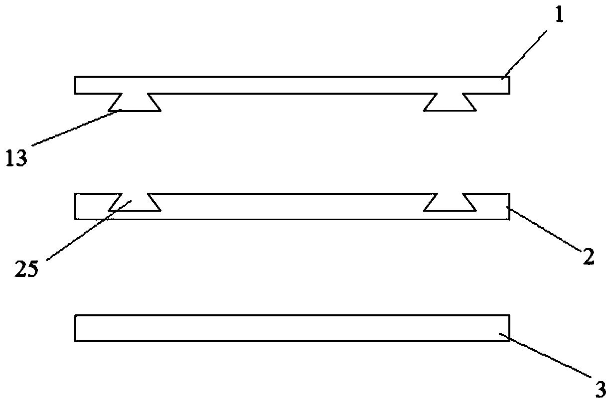 Microfluidic chip for rapid detection of ELISA and its pretreatment and detection method