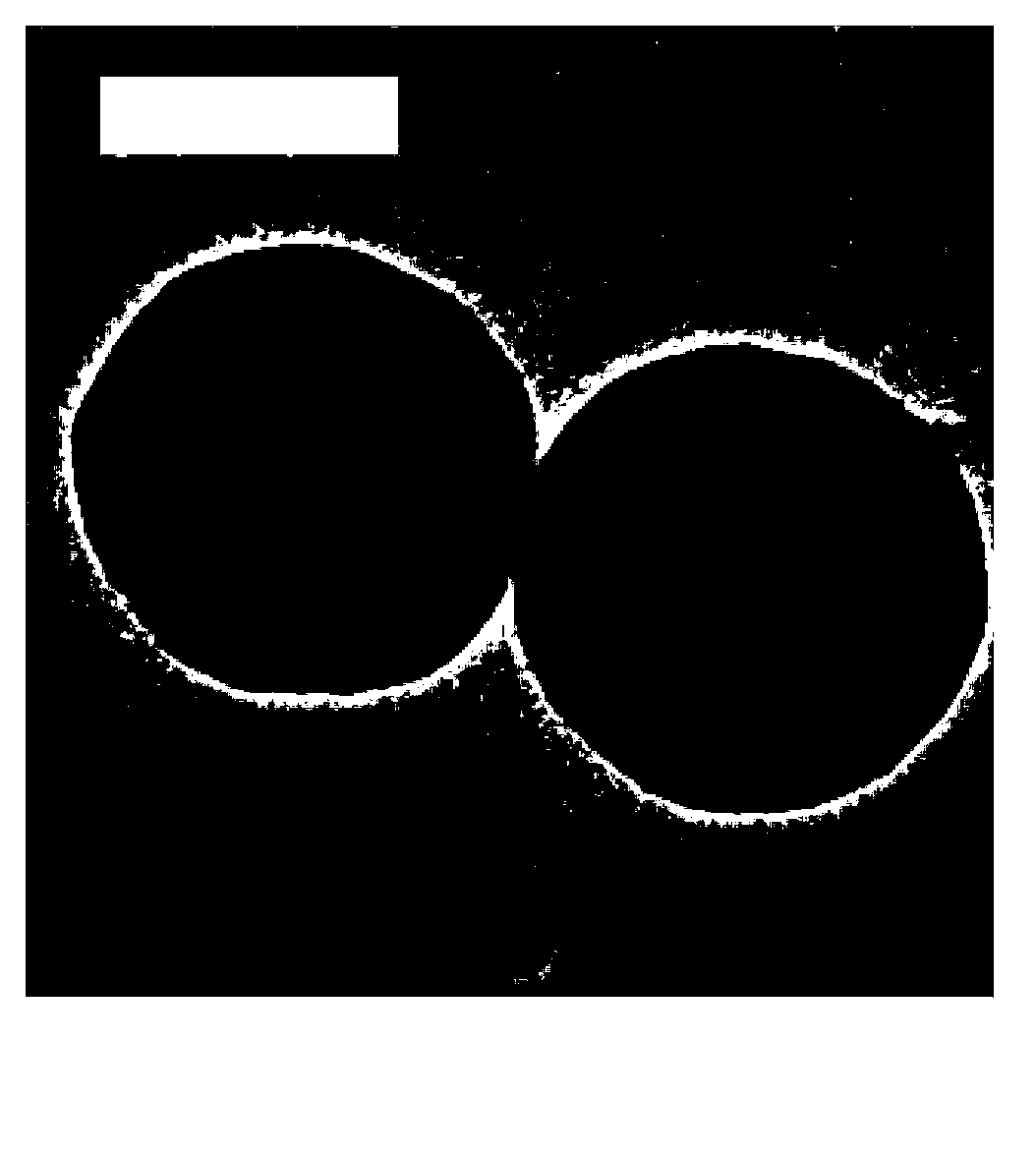 Amphipathic nano-micelle with POSS based capping end sensitive to metal ions and preparation method of amphipathic nano-micelle