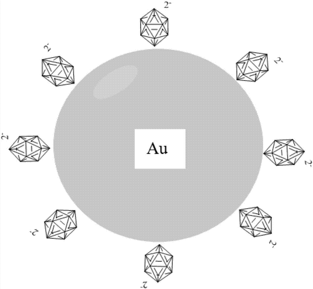 Nanometer gold colorimetry method for rapidly detecting lead ions