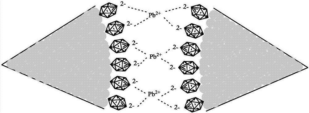 Nanometer gold colorimetry method for rapidly detecting lead ions