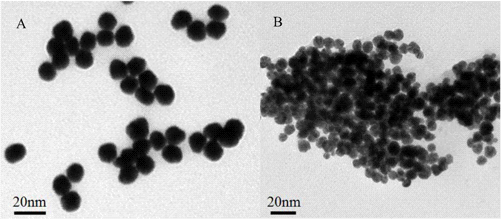 Nanometer gold colorimetry method for rapidly detecting lead ions