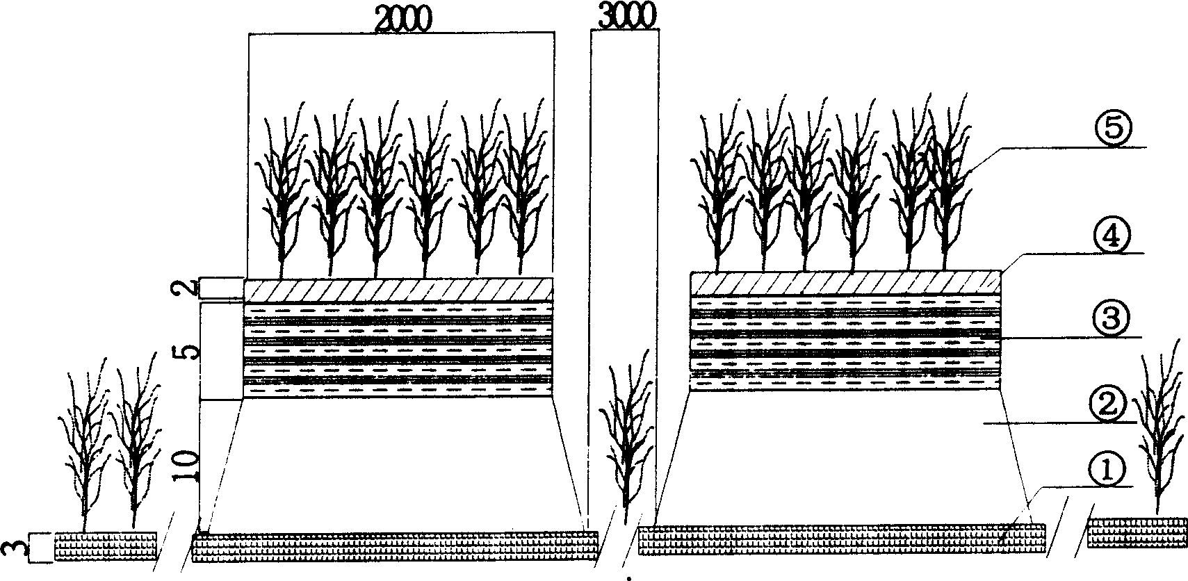 Ecological river bed construction method