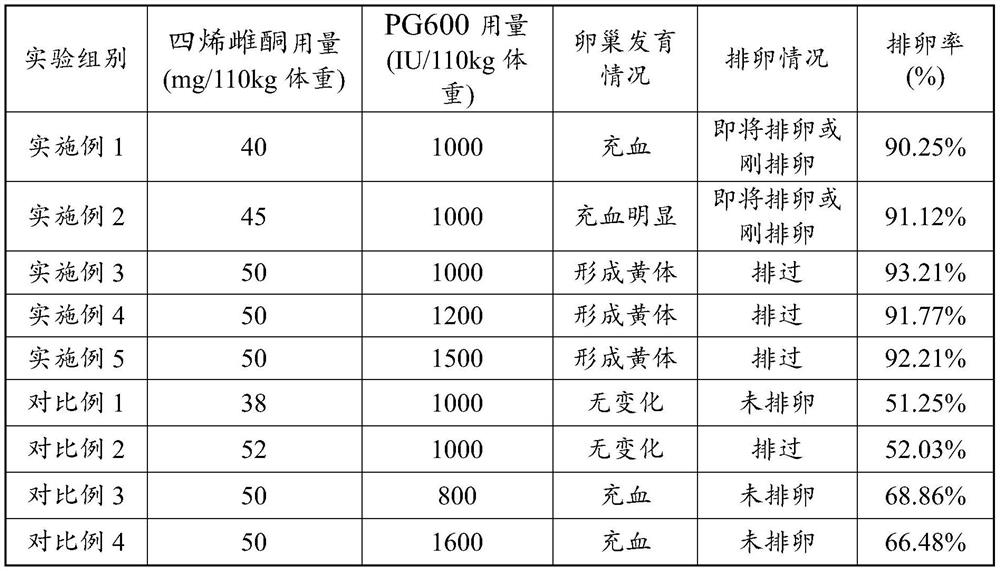 Method for in-vitro cloned embryo transplantation of pregnant sow