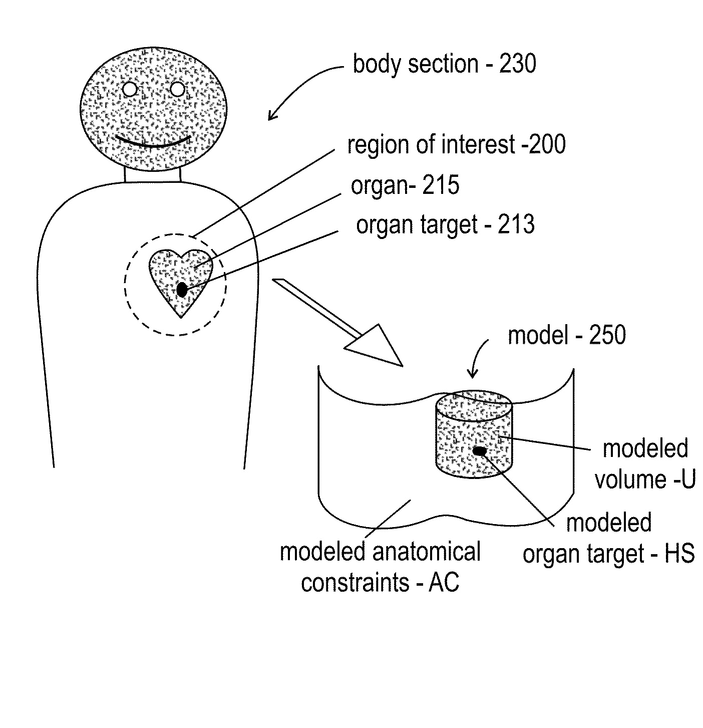 Imaging protocols