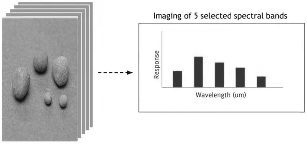 Pulse thulium fiber laser detection system and detection method