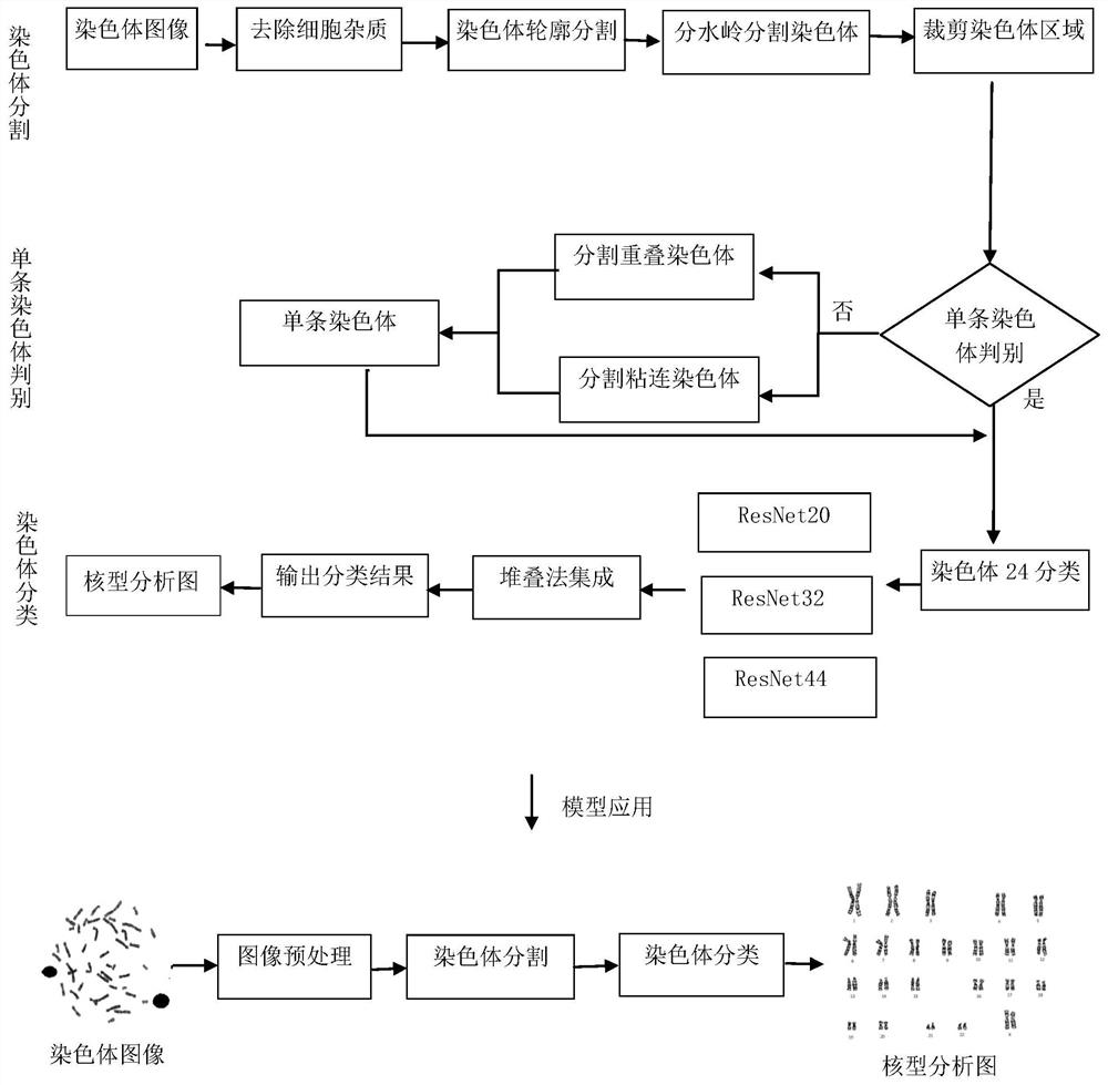 Automatic chromosome segmentation and classification method based on deep learning