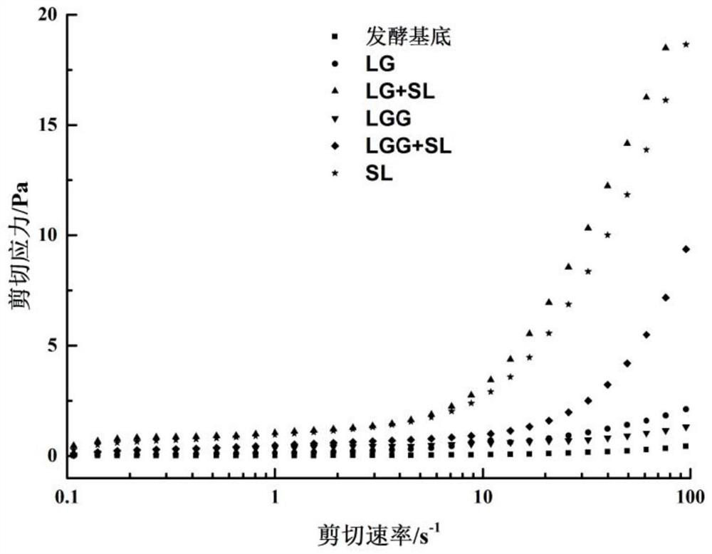 A kind of Lactobacillus gasseri and its application in the preparation of fermented milk