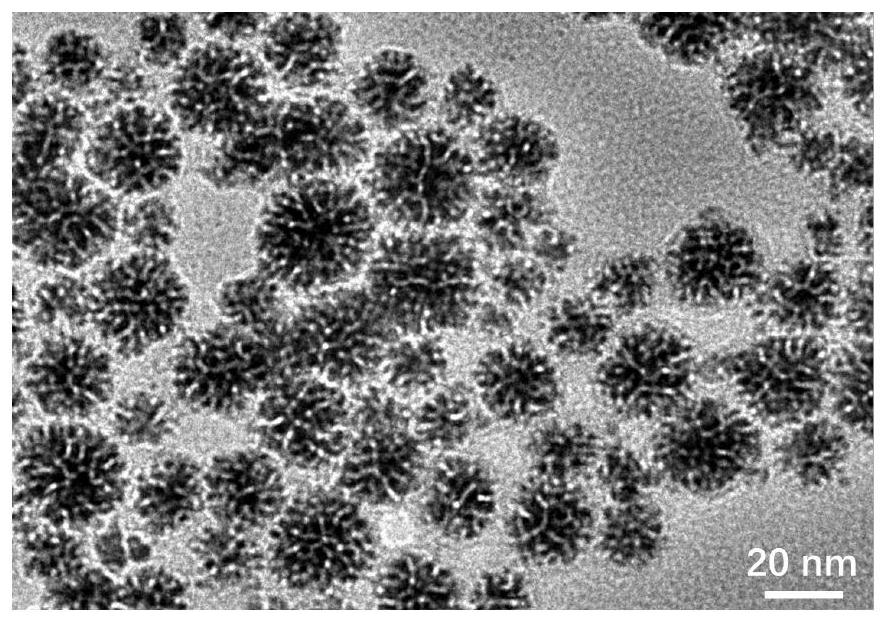 Rhodium-rhenium alloy for anti-inflammation and photothermal therapy as well as preparation method and application of rhodium-rhenium alloy