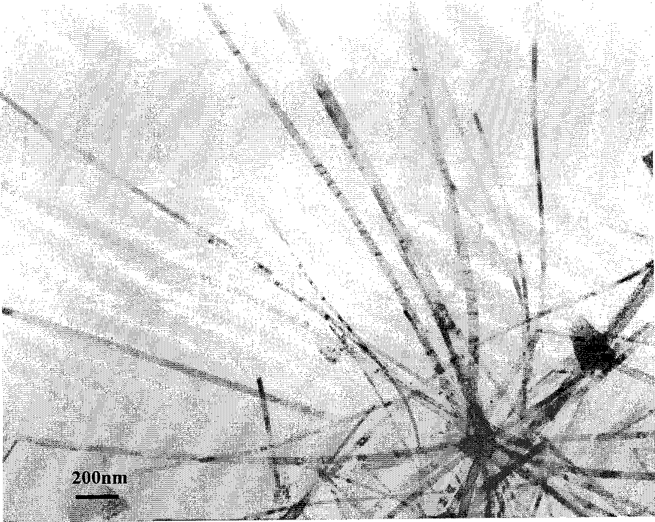 Method for preparing stannic oxide nano wire