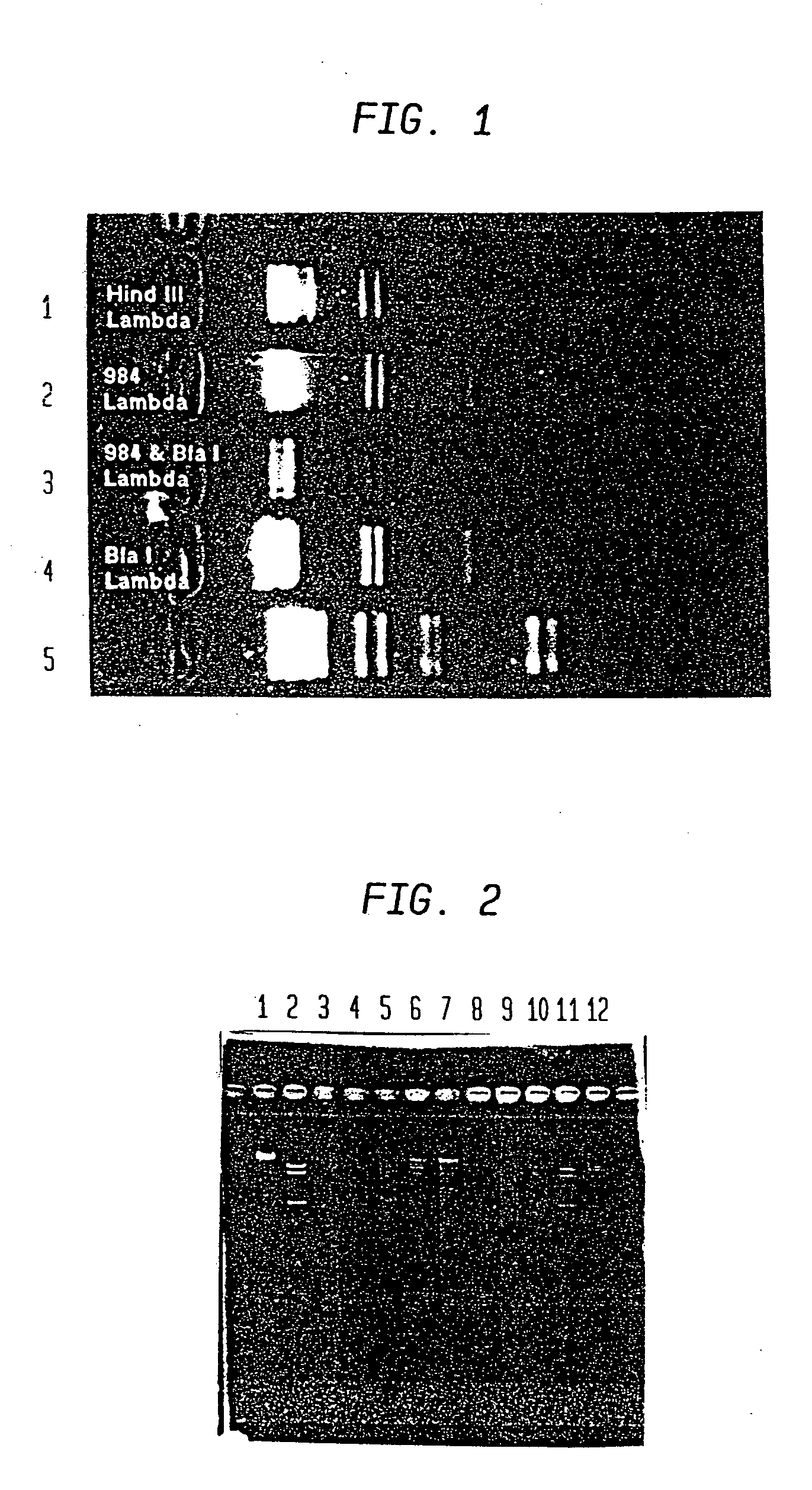 Method for screening restriction endonucleases