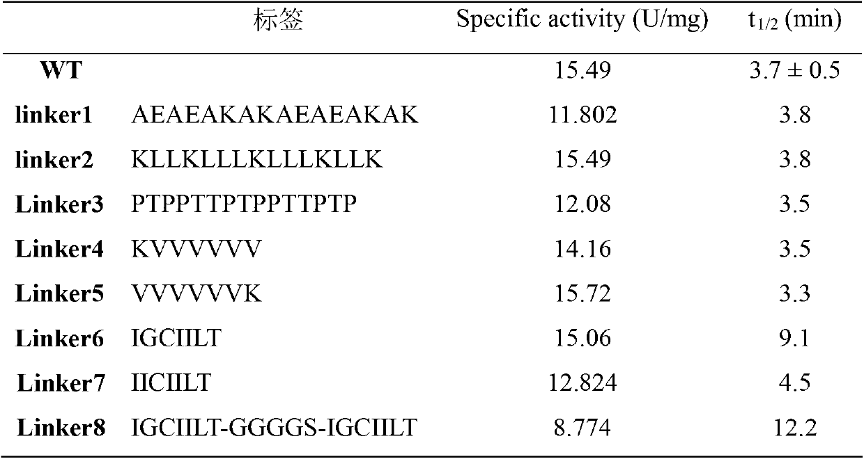 Glutamine transaminase with improved heat stability and application thereof