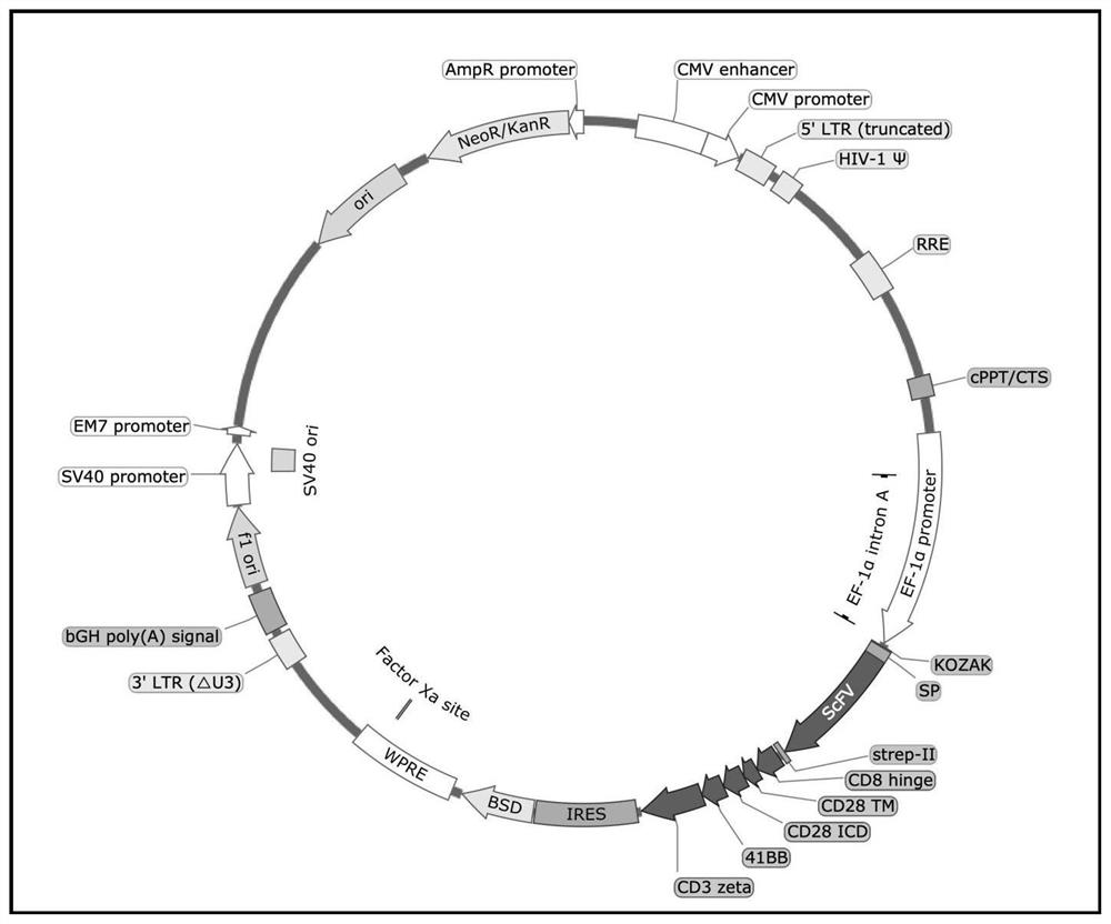 Chimeric antigen receptor taking CD99 as target spot and application of chimeric antigen receptor