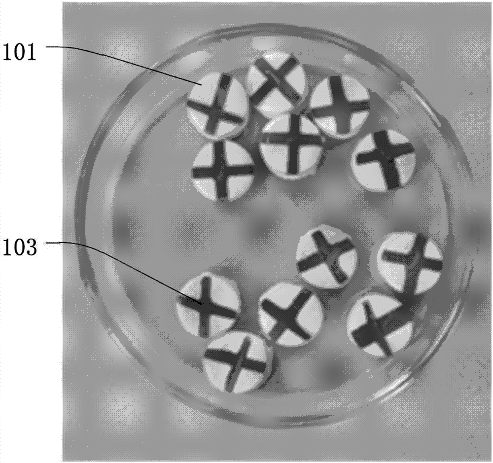 Injectable hemostatic sponge device, injector and suite part