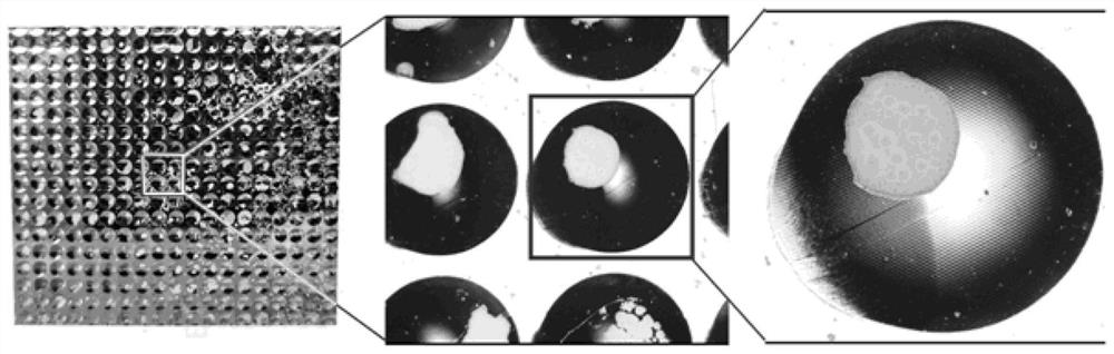 Method for improving coating uniformity of release agent by using nano coating